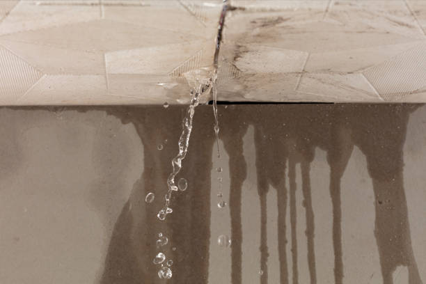 Professional Structural Drying technician working in Reader, WV